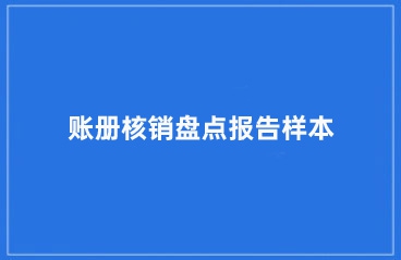 账册核销盘点报告样本