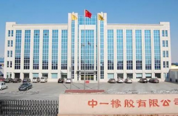 Good News! Project for Zhongyi Rubber wa